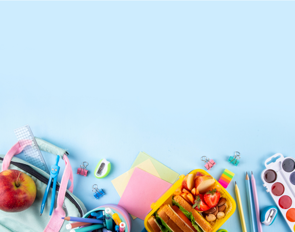 Una mirada cualitativa a los programas de alimentación escolar