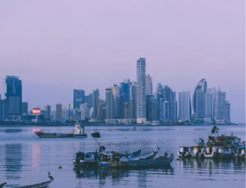 Susan Stokes y sus lecciones para Panamá